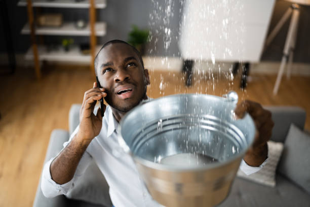 Best Flooded house restoration  in Mineral Wells, TX