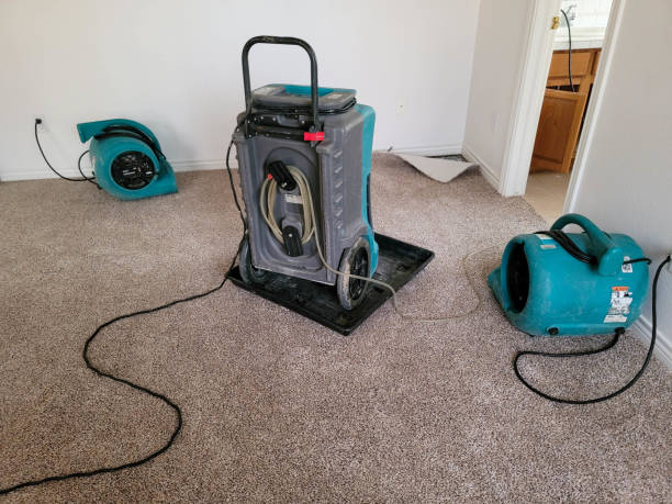 Best Flood restoration services  in Mineral Wells, TX