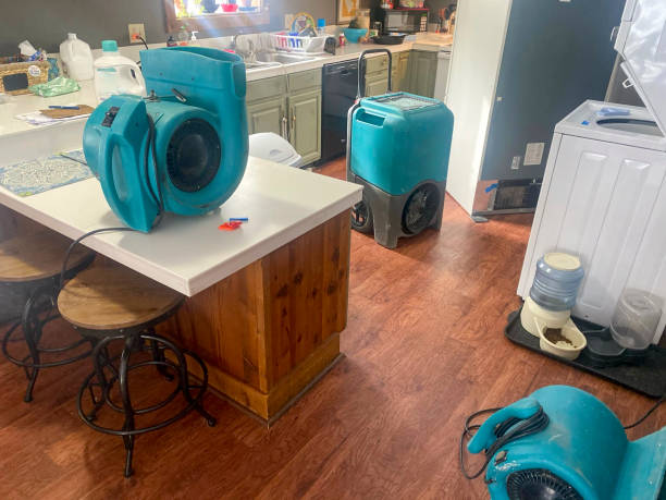 Best Carpet water damage restoration  in Mineral Wells, TX
