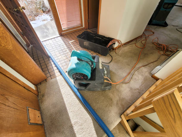 Best Water damage restoration insurance claims  in Mineral Wells, TX