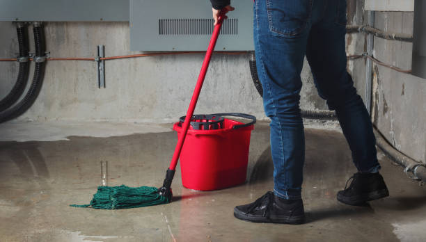 Best Ceiling water damage repair  in Mineral Wells, TX