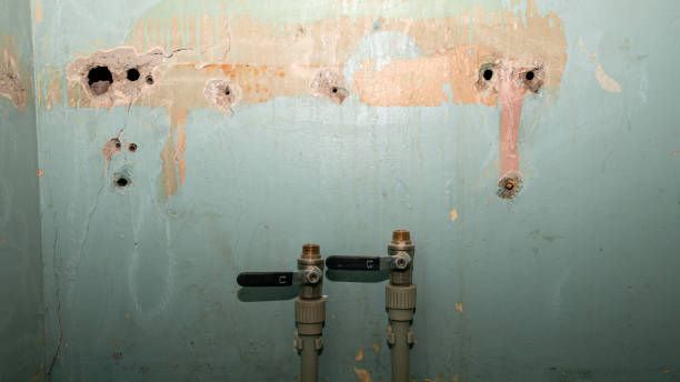 Best Water damage restoration mold remediation  in Mineral Wells, TX