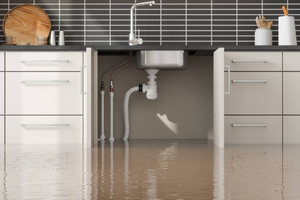 Best Fire Damage Restoration  in Mineral Wells, TX