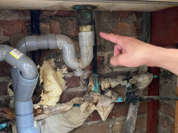 Best Professional water damage repair  in Mineral Wells, TX